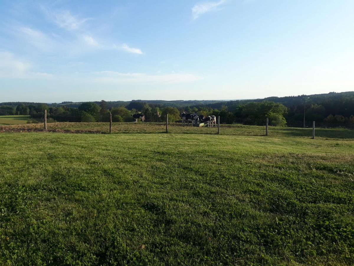 L'Harmonie Du Jardin Gite Chevetogne Exteriér fotografie